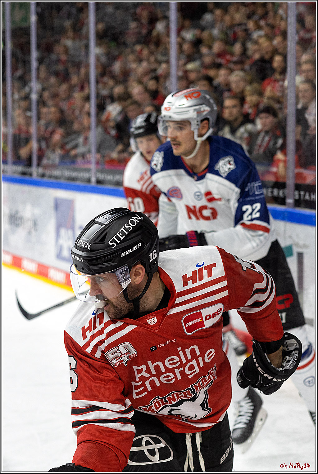 PENNY DEL;  Kölner Haie - Nuernberger Ice Tigers; Köln, 18.11.2022